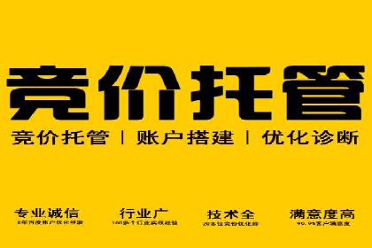 如何利用SEM提升品牌知名度——以某知名企业的成功经验为例